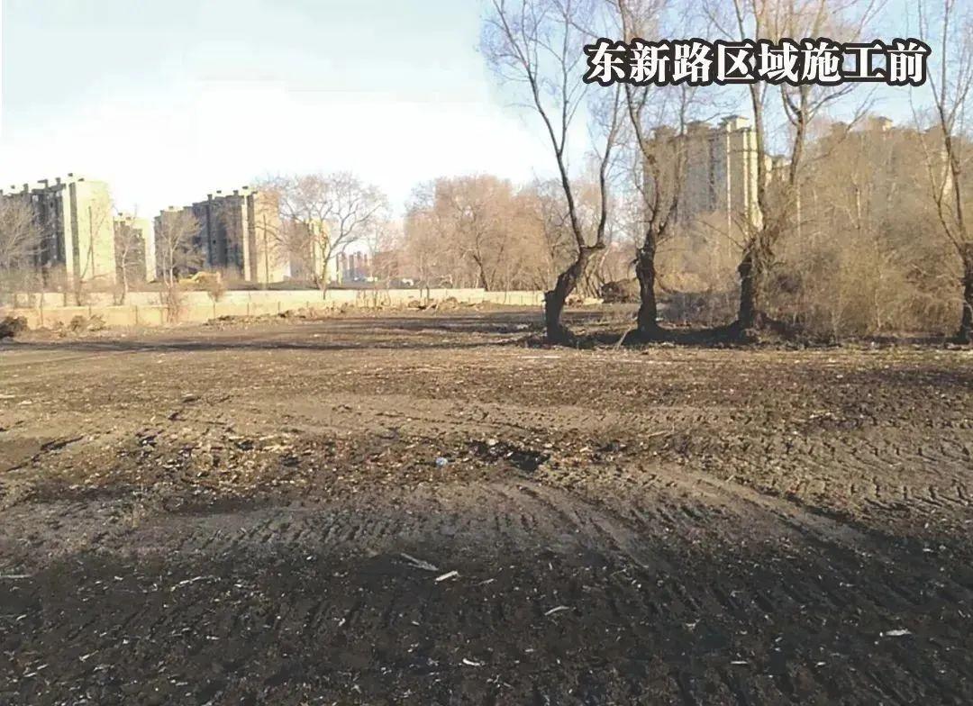 03.jpg 图片